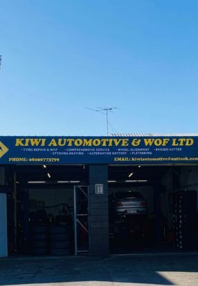 Professional automotive service